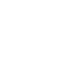 Heineken Silver